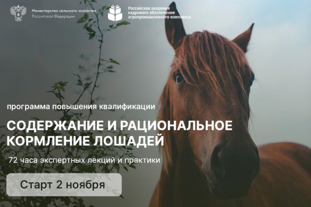 Повысьте квалификацию в агросфере онлайн. Возможно обучение за счет бюджета РФ