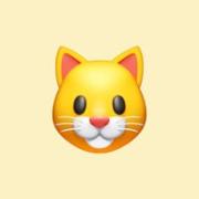 Лисенкова Диана