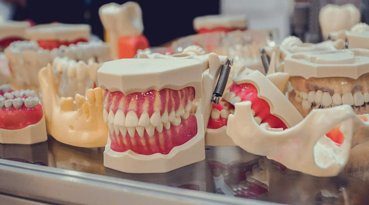 Стоматологическая модель-тренажер для отработки практических навыков
