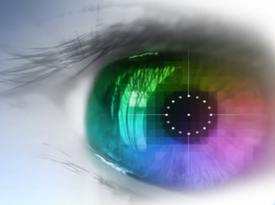 Биометрическая идентификация по радужной оболочке глаз и лицу