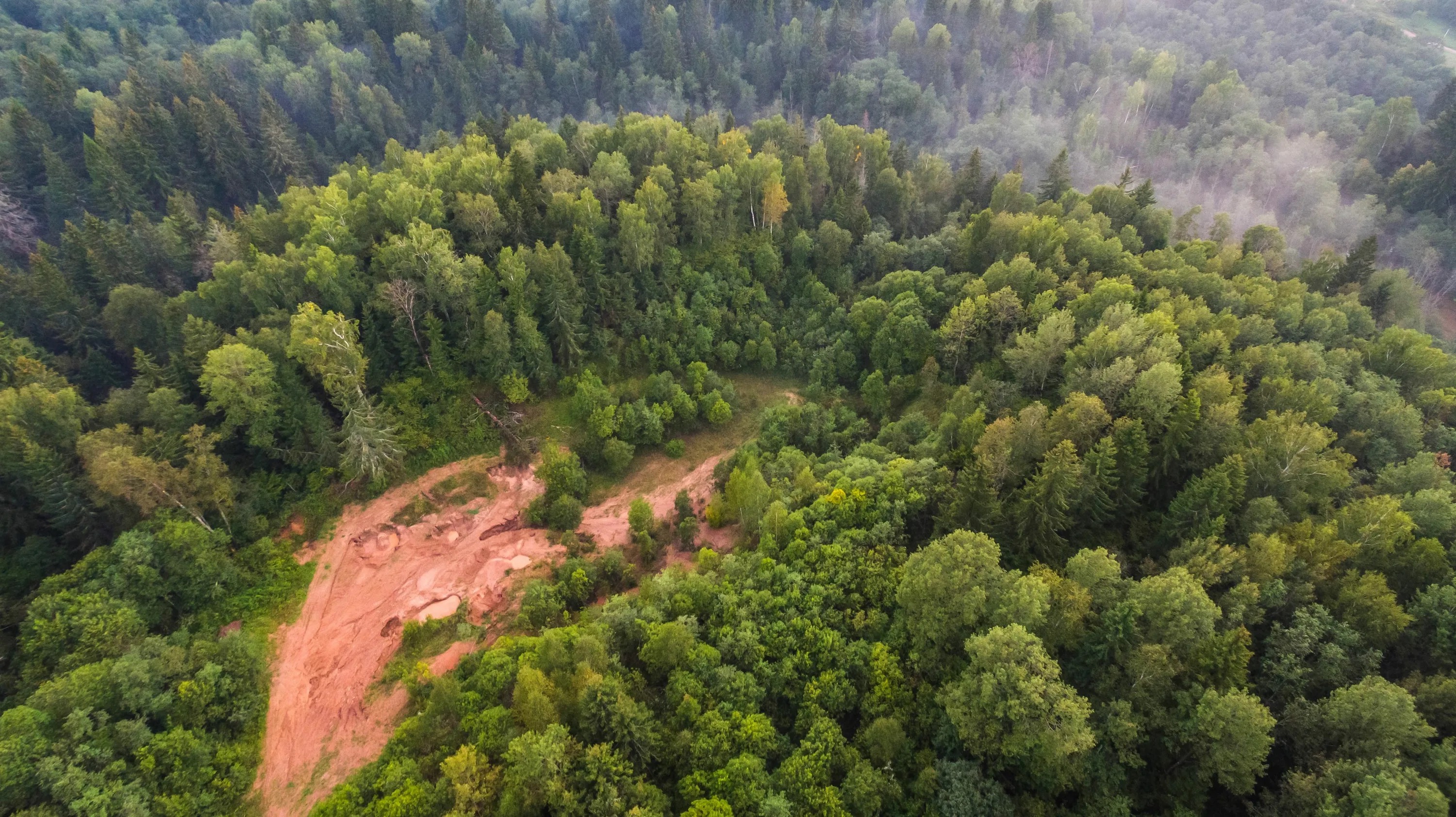Классификация областей леса по спутниковым снимкам